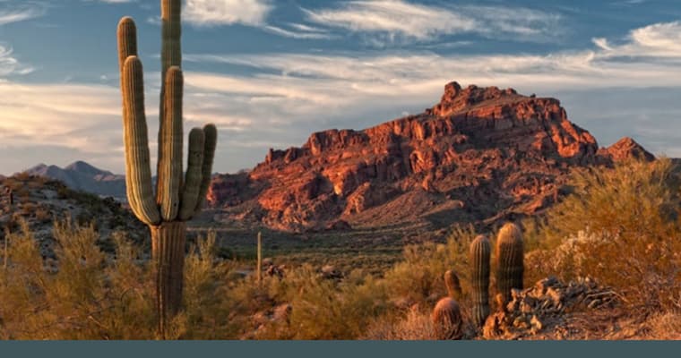 The scenery of Mesa Arizona